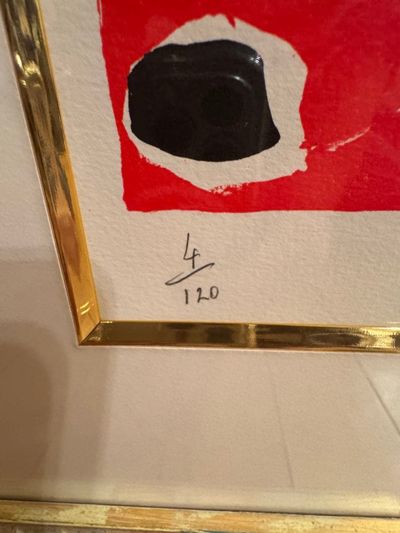 ポールアイズピリ 薄いブルーバックの花4/120