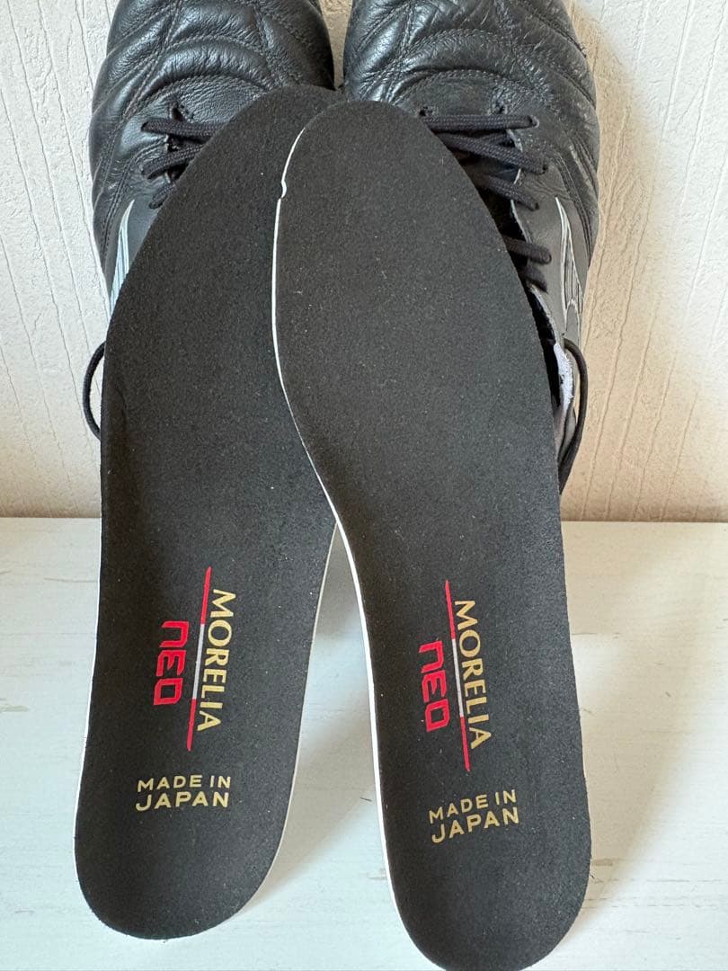 Mizuno モレリアネオ4 25cm