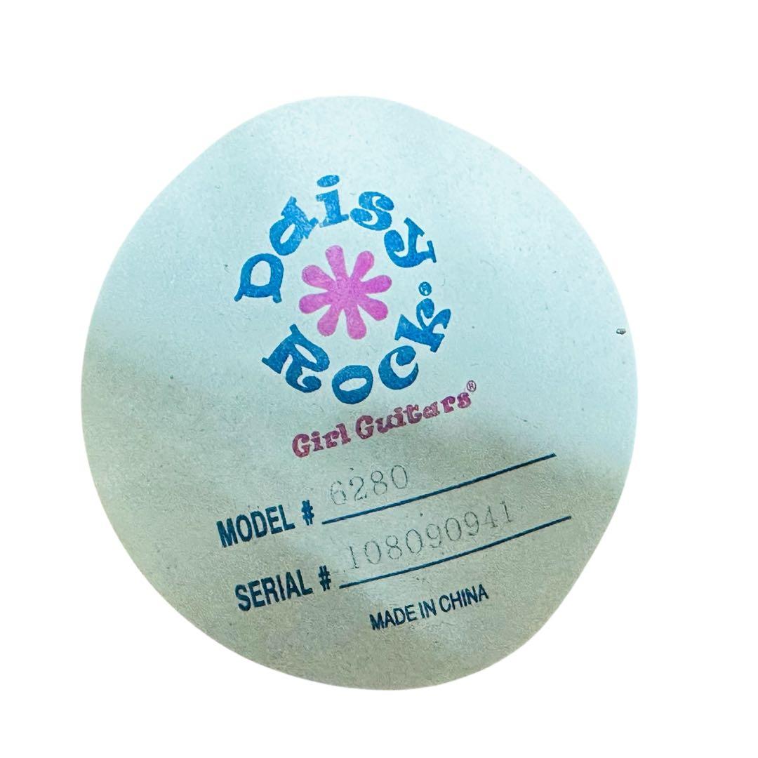 DAISY ROCK エレアコ　6280