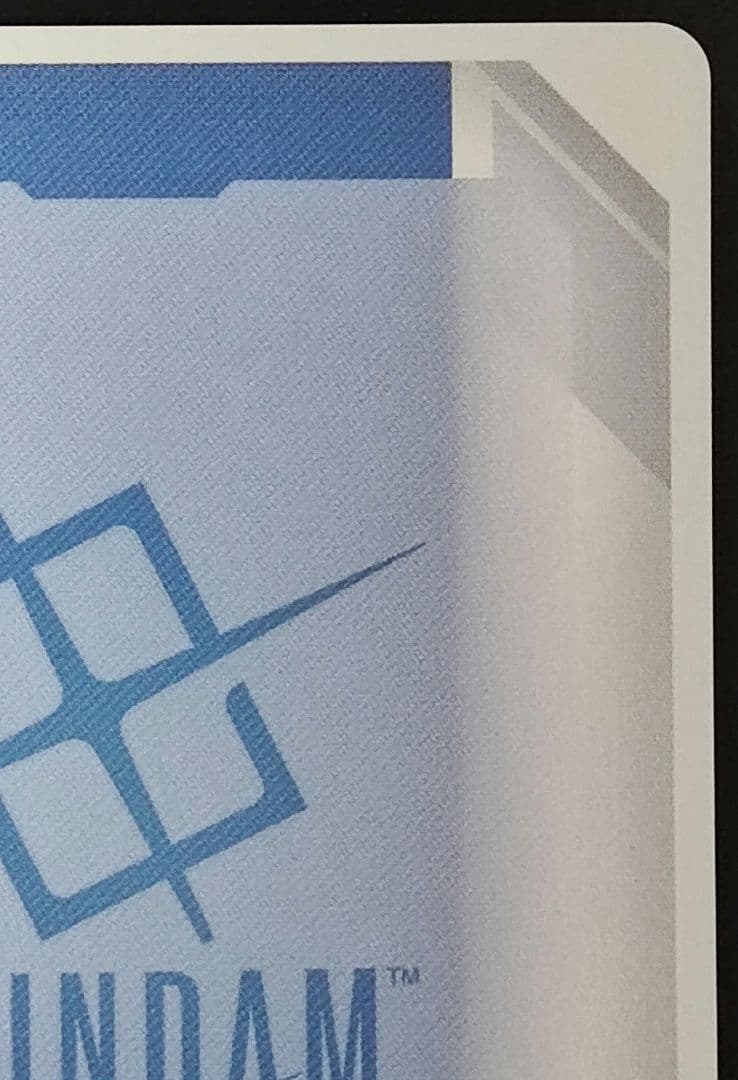 予期せぬ出来事　パラレル　ショップバトル優勝　　プロモ