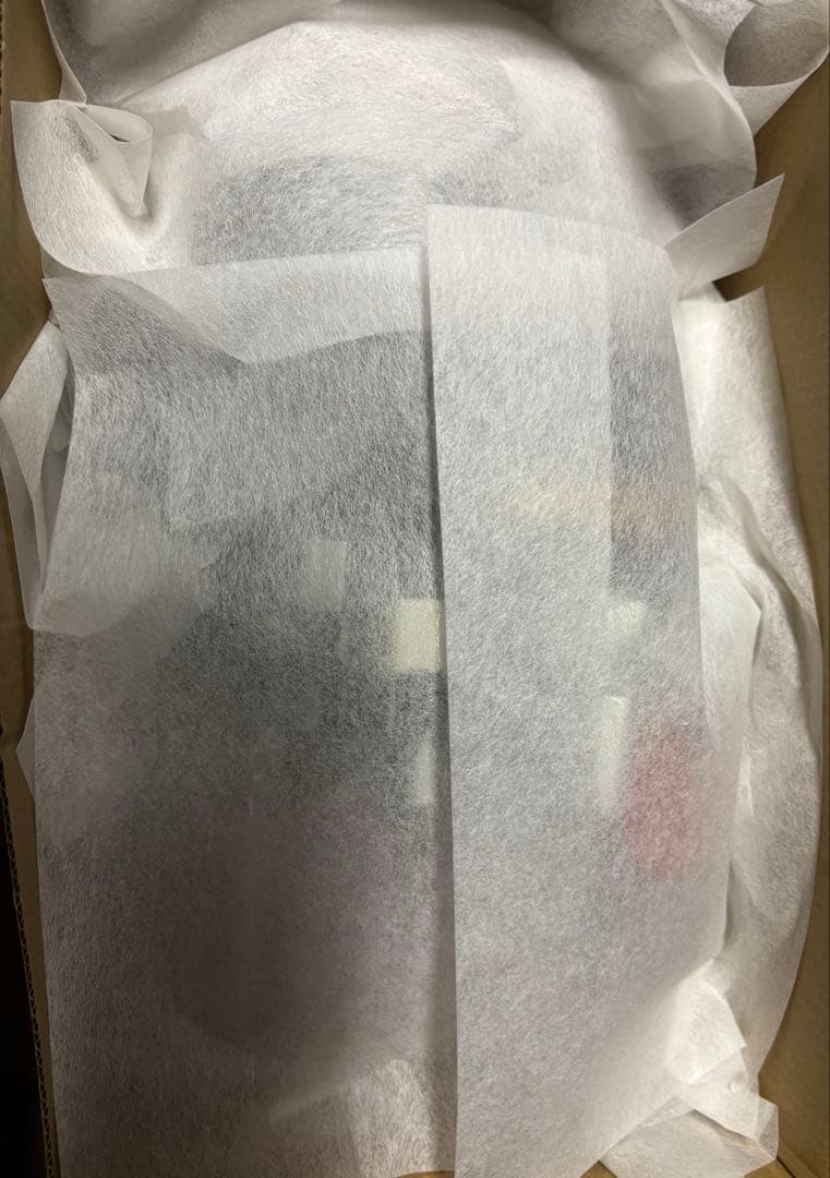 値下げ早い者勝ち‼️特別選手用icon atomic アルペンビンディング 24