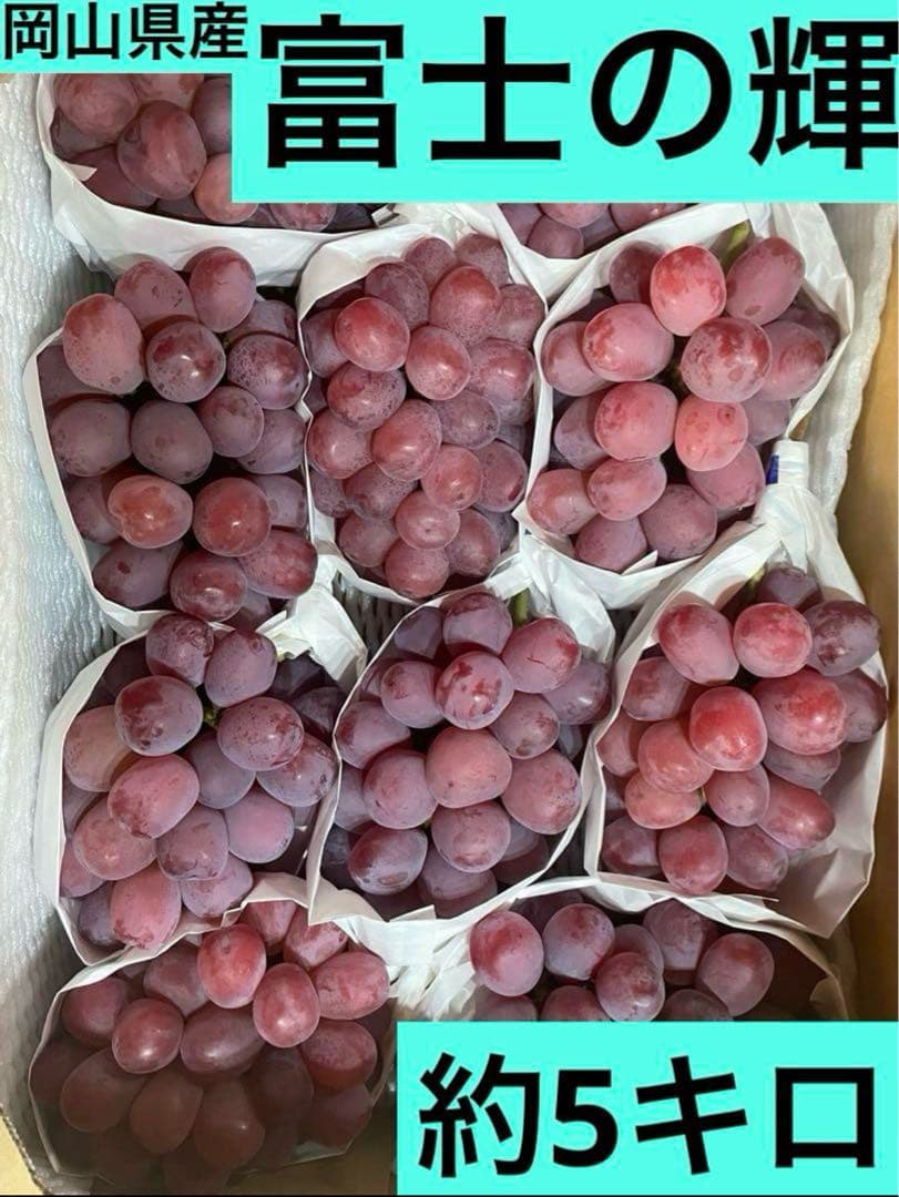 ② 【岡山県産】富士の輝　10房 約5キロ