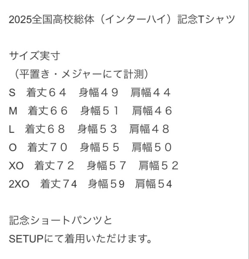 デサント インターハイ Tシャツ ALL JAPAN 陸上 バレーボール