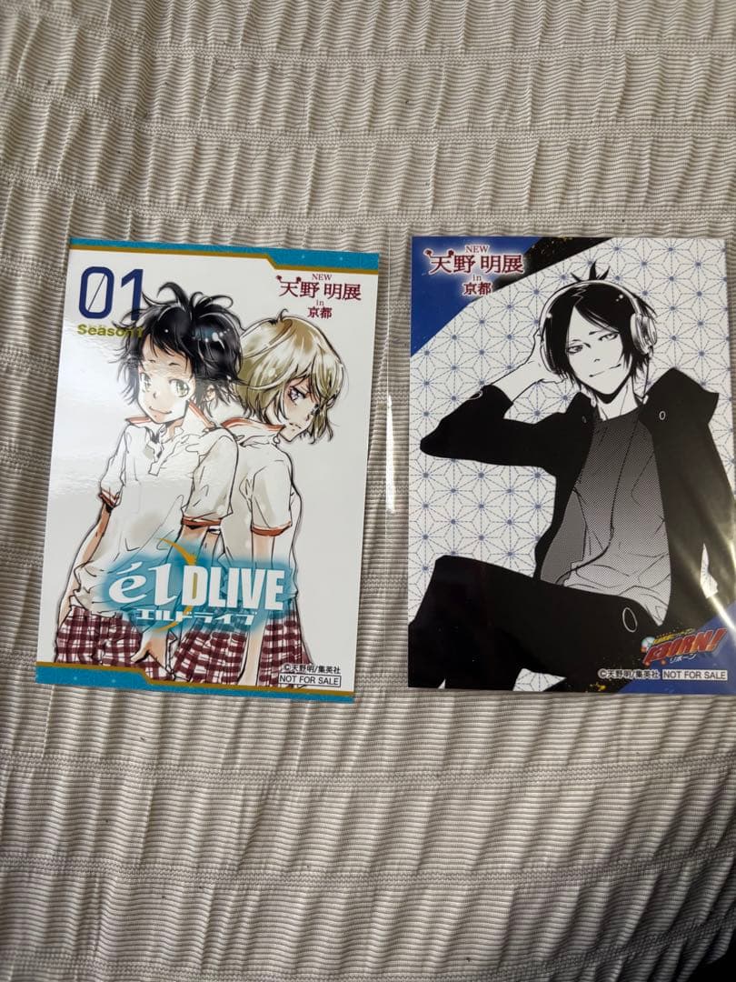 天野明展　購入特典　eLDIVE リボーン