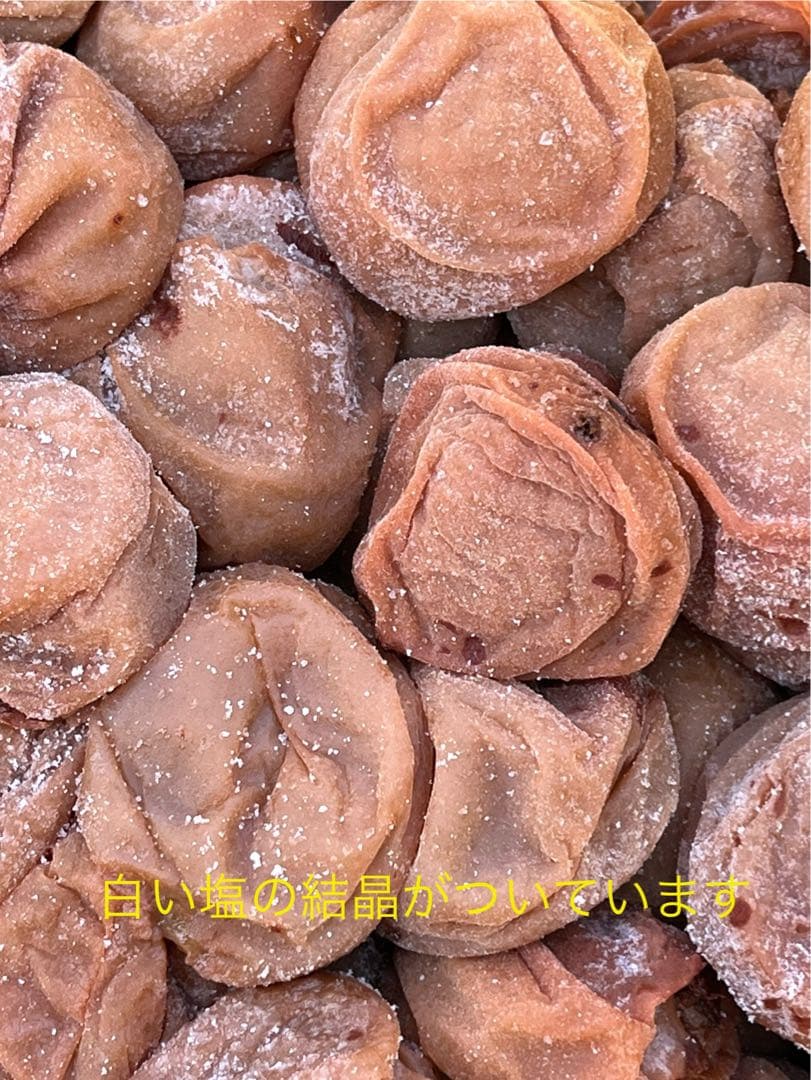 つぶれちゃった白干し梅干　無添加　無選別　10kg入り