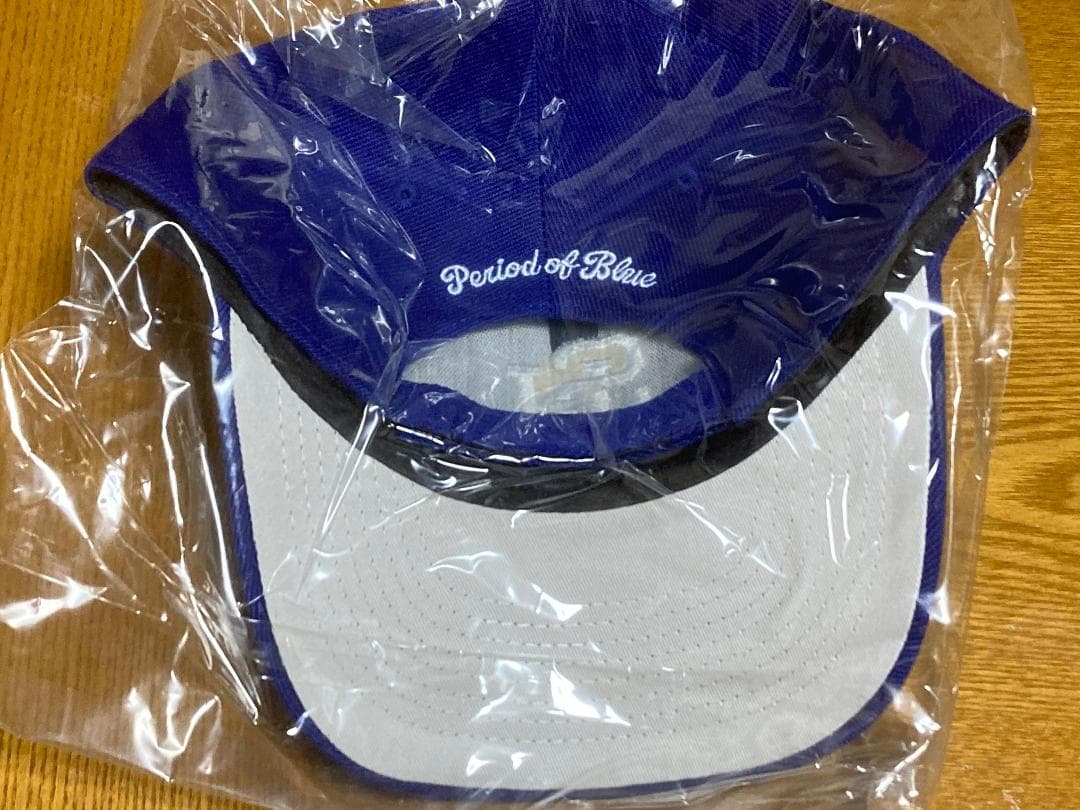 浜田省吾　2025スマホスタンド・2024FFFキャップ（おまけ付き）