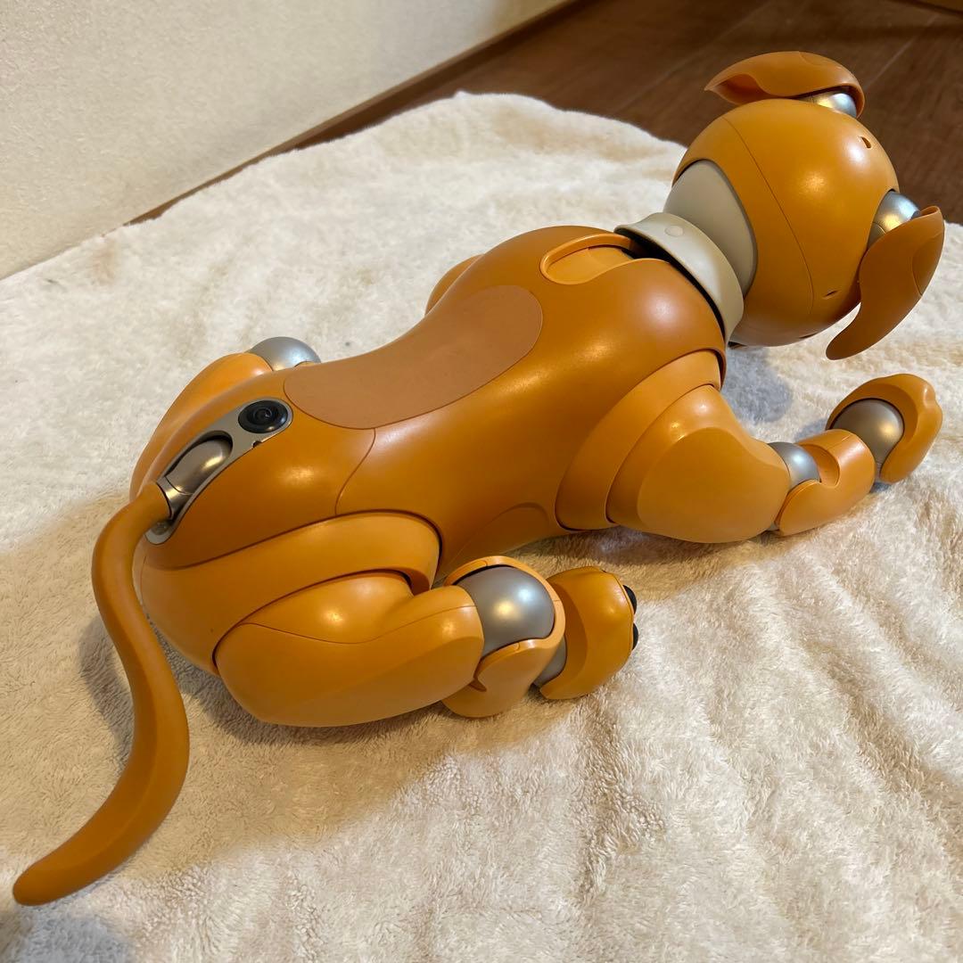 aibo キャラメル　くまさん専用