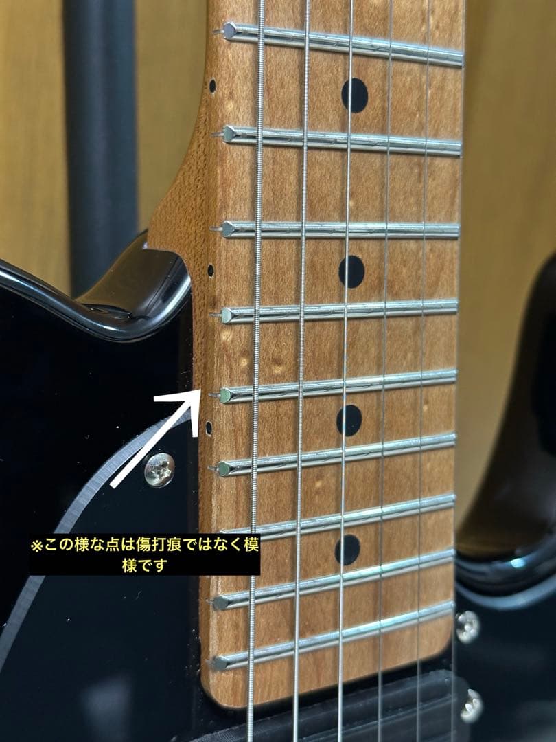 【Bacchus BTE-1DX RSM/M】値下げしました