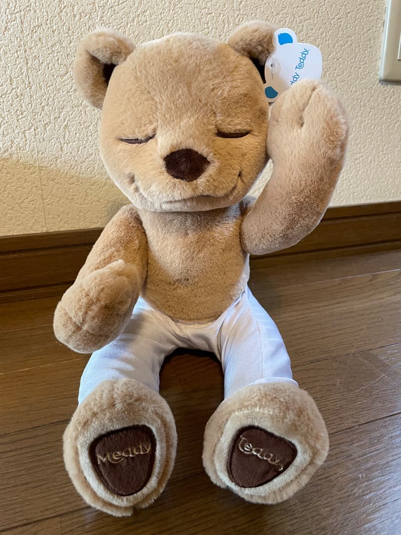 Meddyteddy ヨガ　くま　ぬいぐるみ