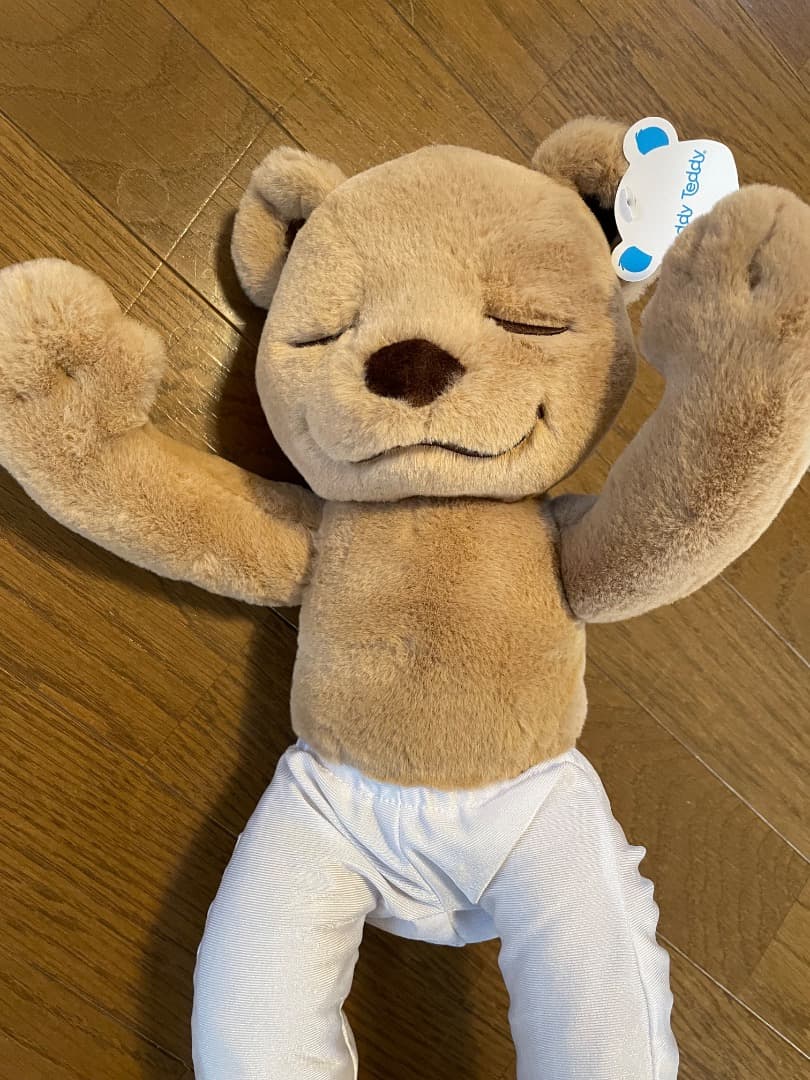 Meddyteddy ヨガ　くま　ぬいぐるみ