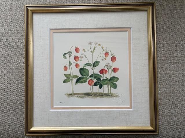 限定2500円OFF ロンドンV&A　フラワーアート　2点　額装＆マット付き