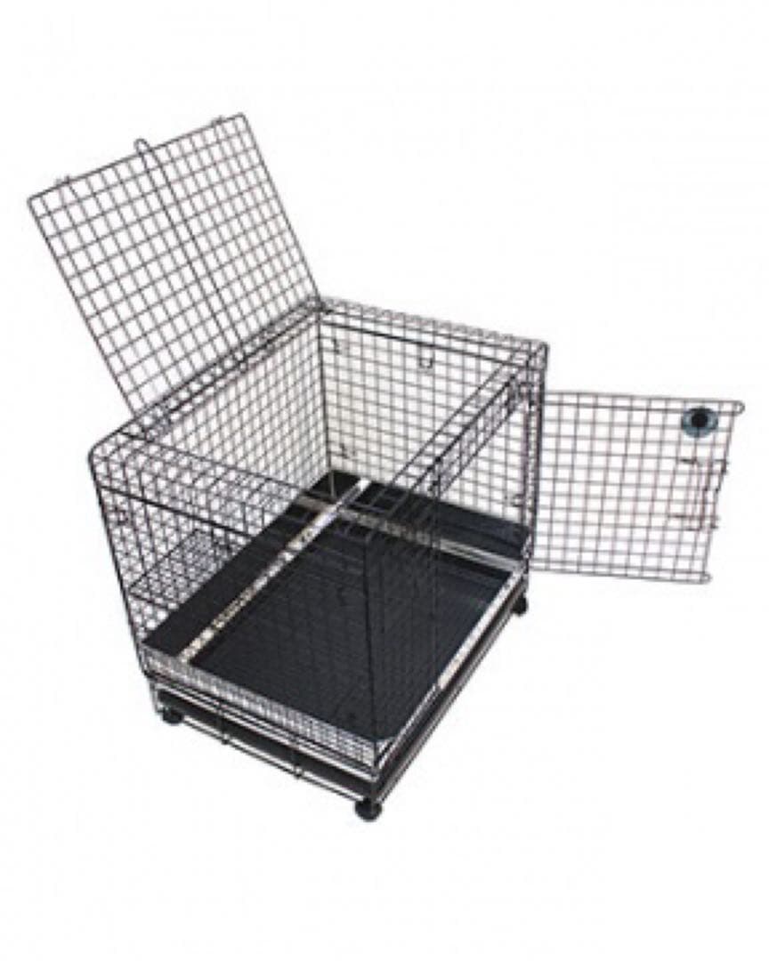 お値下げ！うさぎのしっぽ プロケージ60