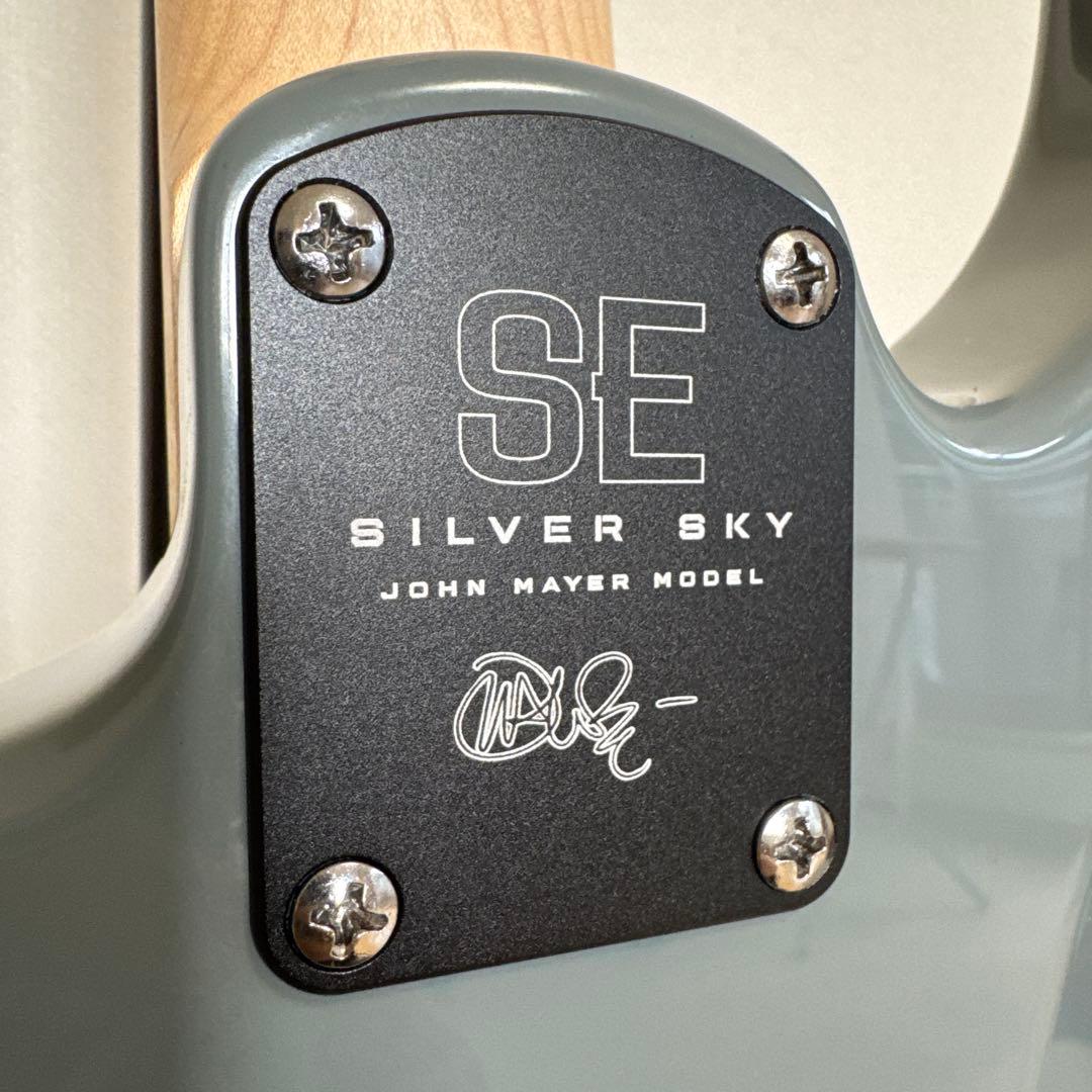 【2/25まで】PRS SE silver sky Storm Gray