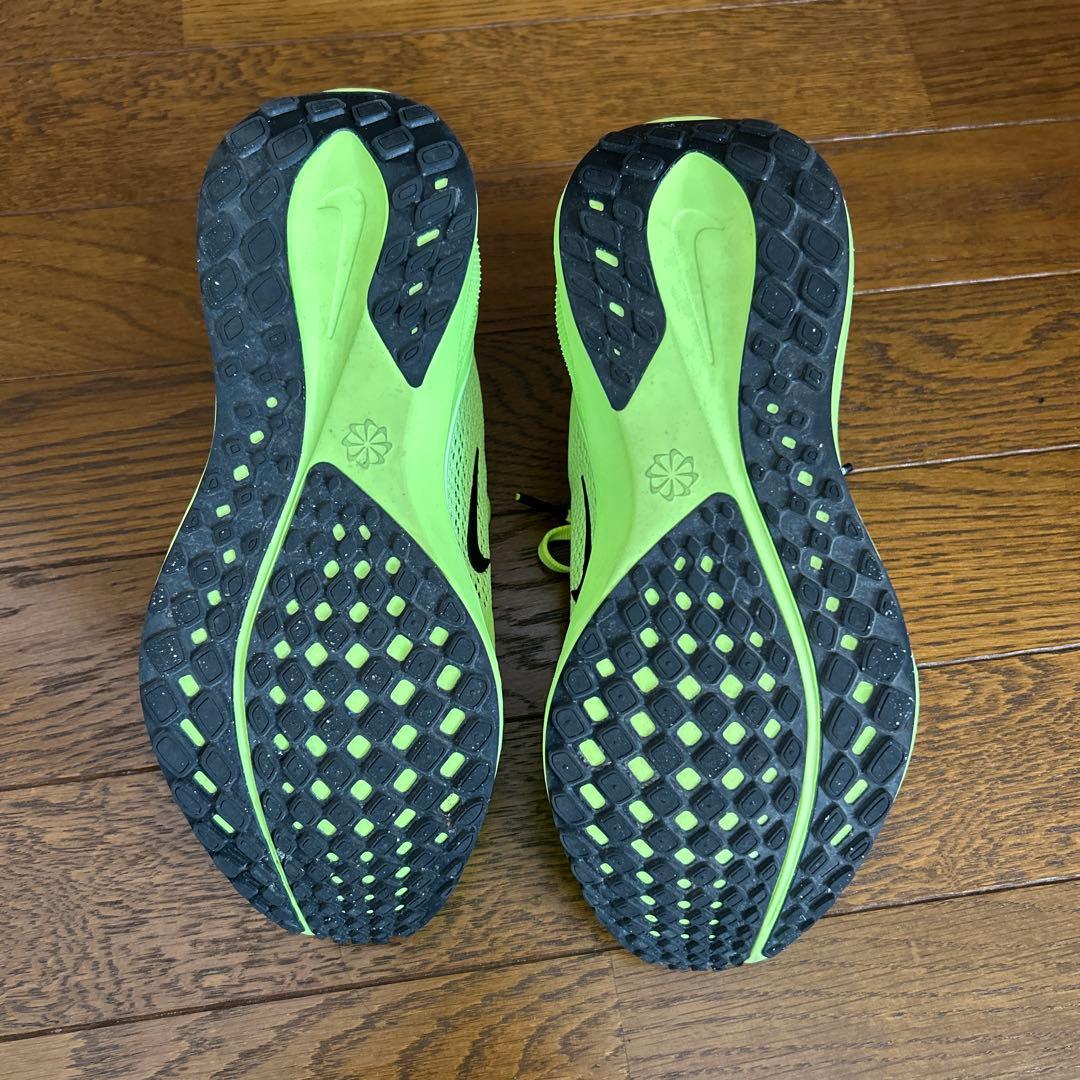 23cm ZOOM PEGASUS 41 NIKEペガサス41