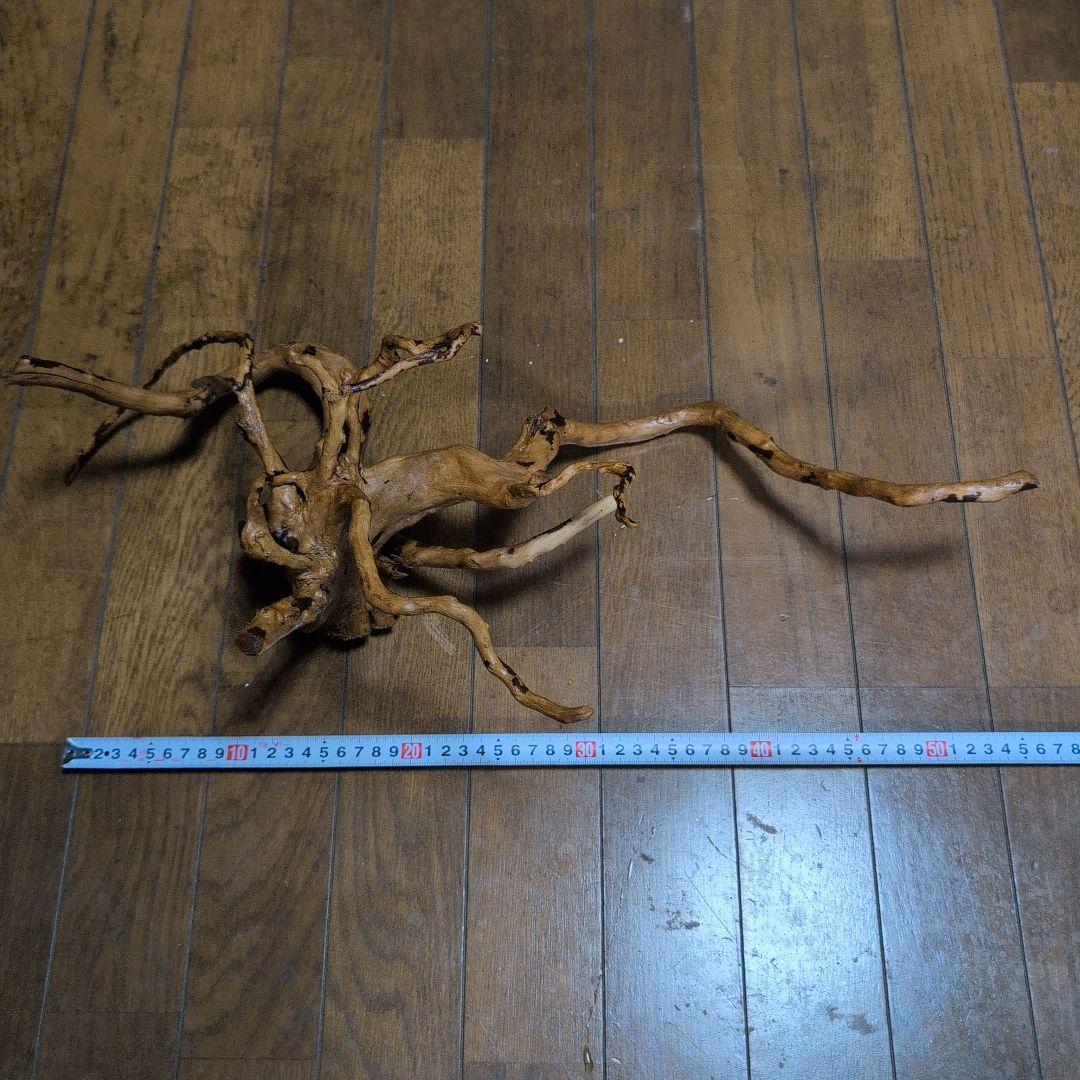 アクリル水槽　アクリルケージ