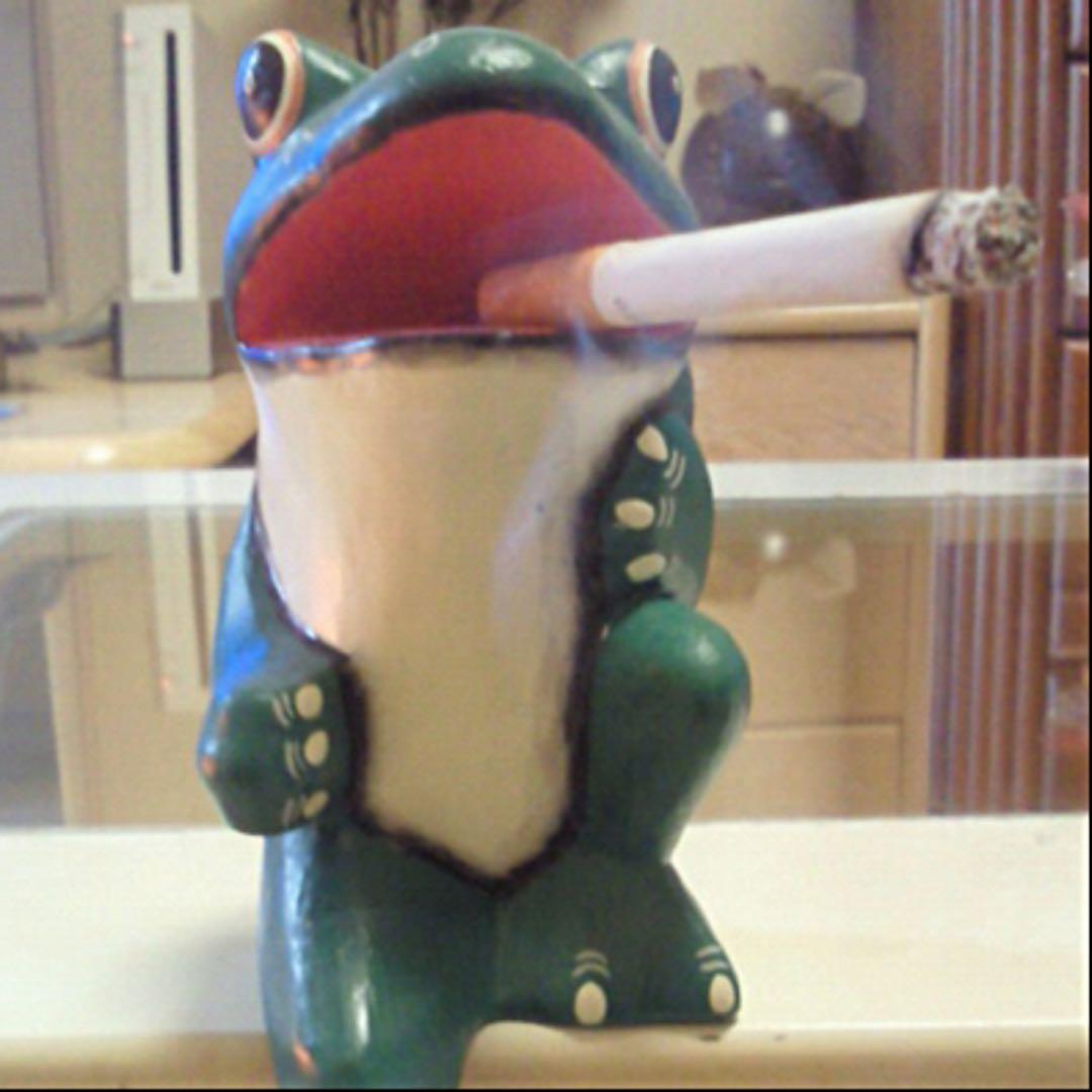 プロフ必 ぴったら  ペットシート ボックス 《レギュラー サイズ》