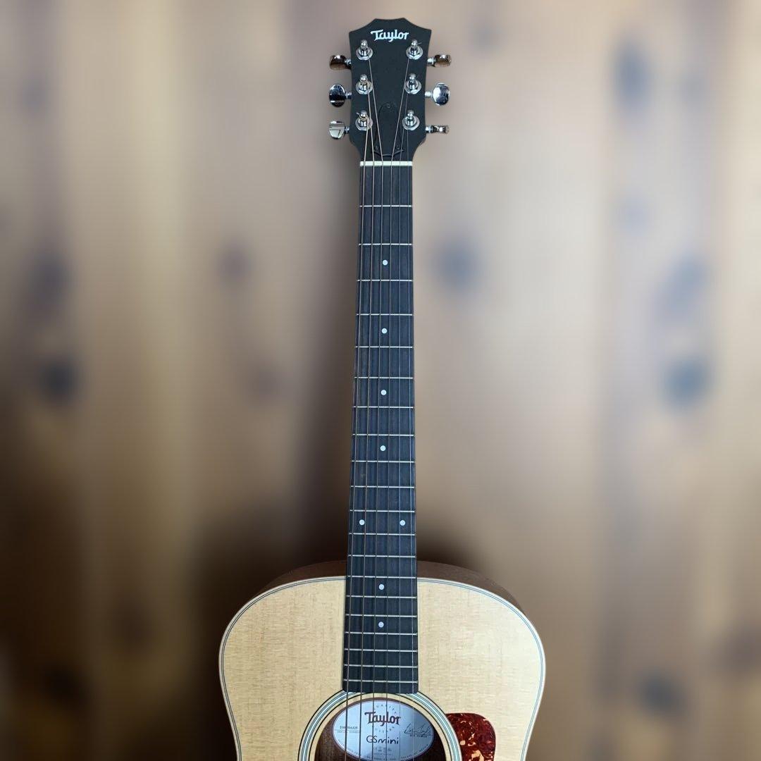 Taylor GS Mini ケース付