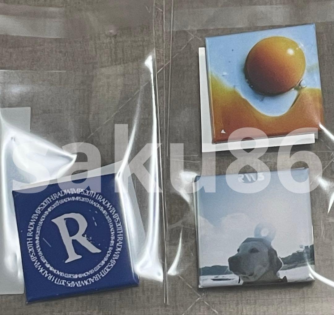 RADWIMPS ジャケット缶バッジ ビッグエコーコラボ　ラッドウィンプス