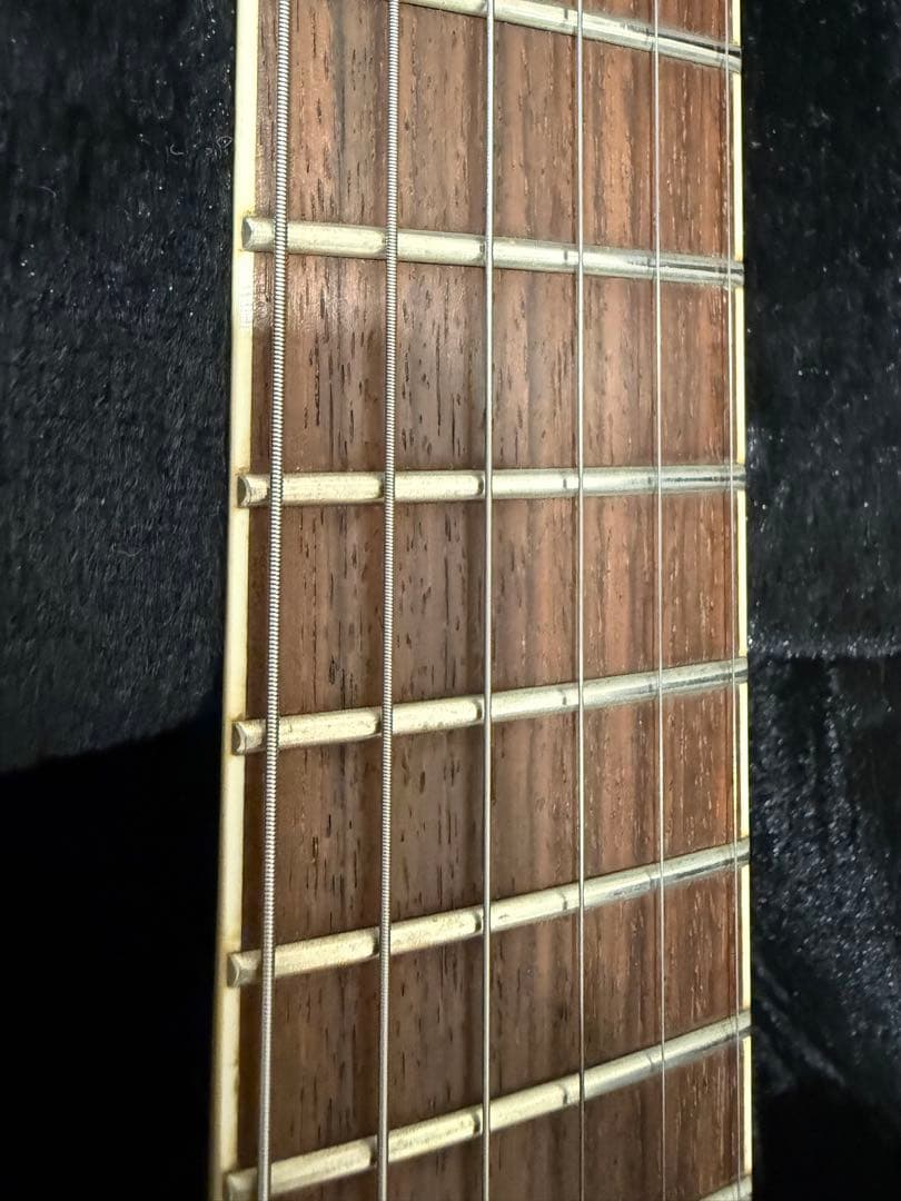 GrassRoots エレキギター ブラック ハードケース付き