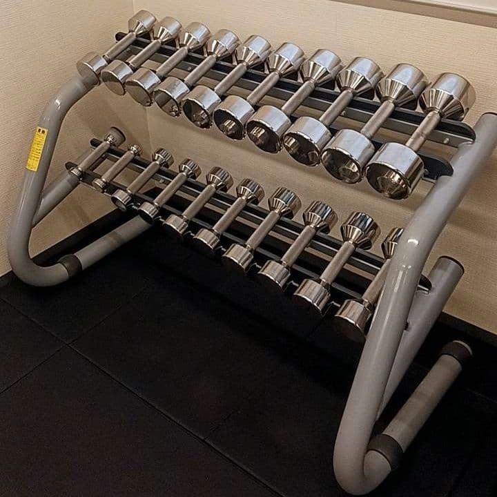 定価60万円超 中旺ヘルス ステンレスダンベルセット1kg〜10kg＋テクノジム