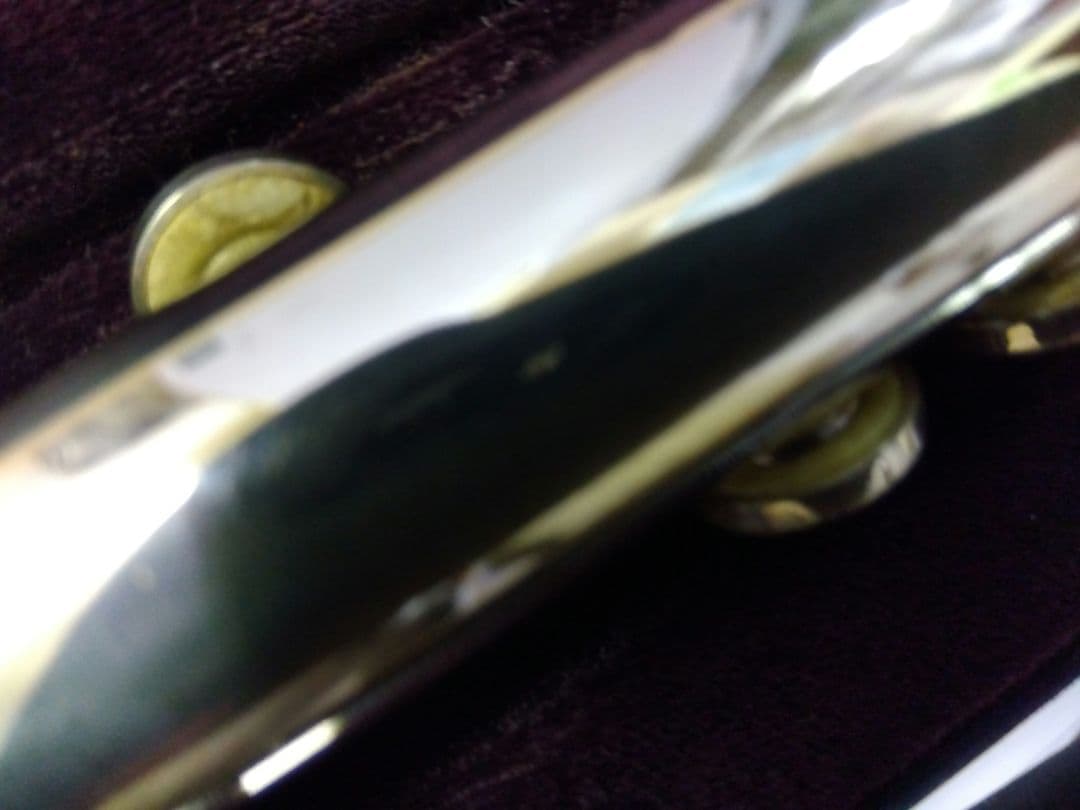 フルート　トレヴァージェームス