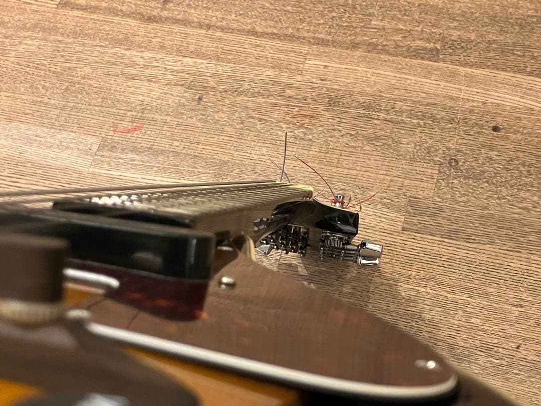 aria エレキマンドリン (Ritter ケース付き)