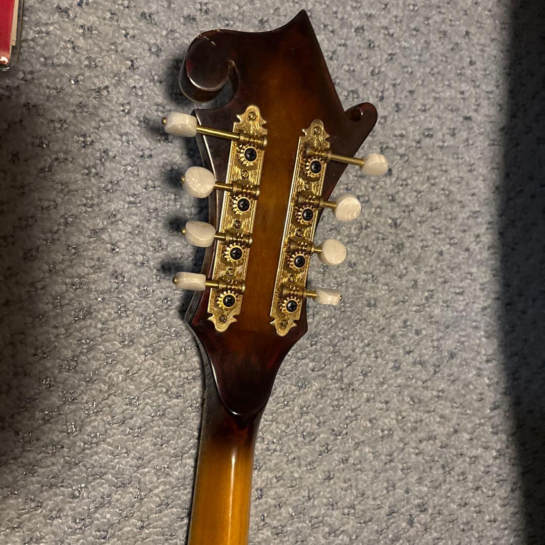 Samick Fタイプ フラットマンドリン ハードケース付き