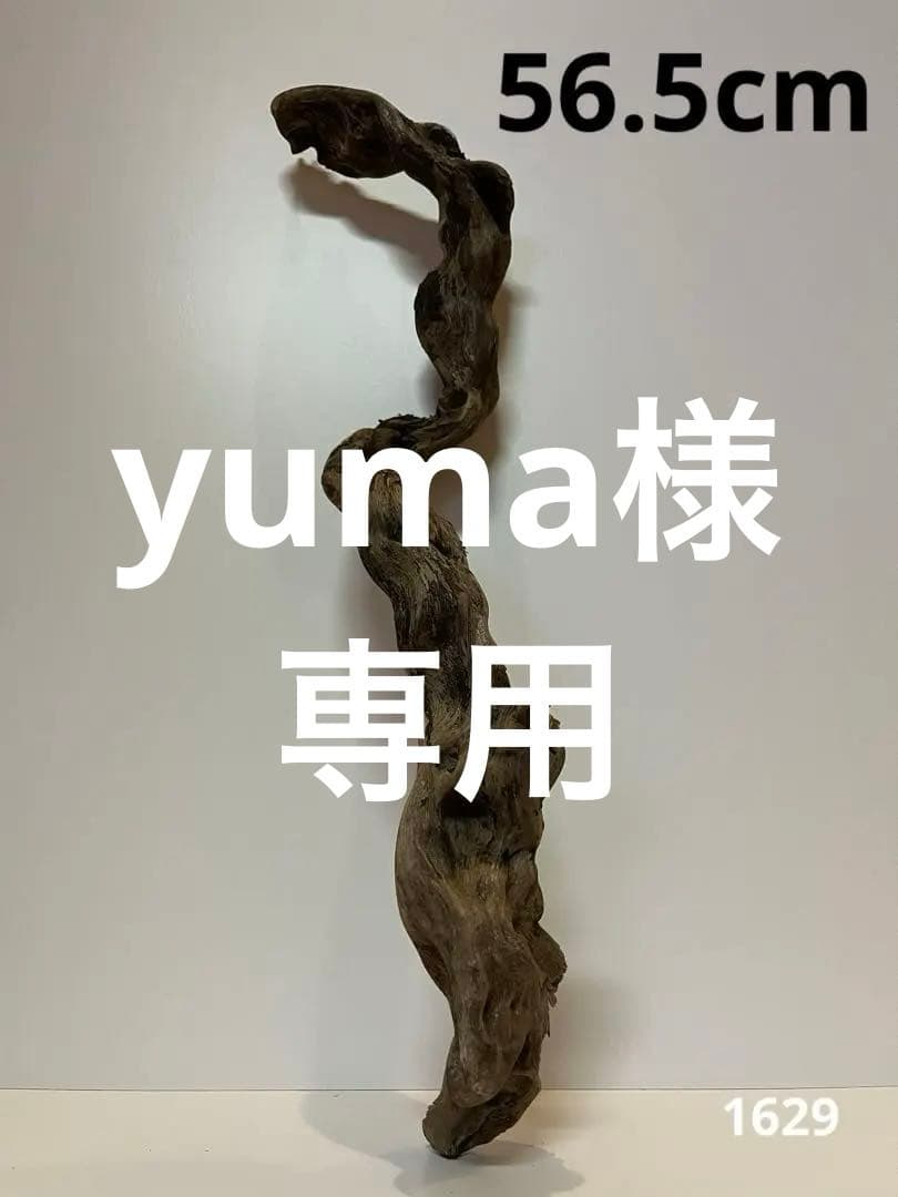 yuma爬虫類ケージ工房様 リクエスト 4点 まとめ商品