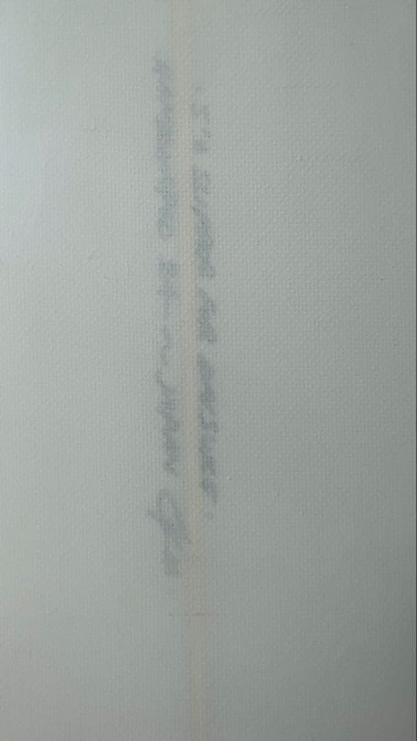 CoreyMunn コーリーマン Slipper 5'6 極美品