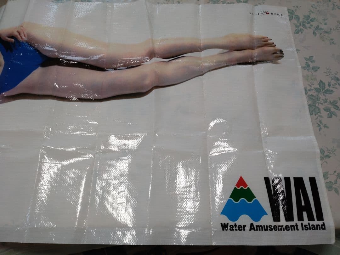 未使用　貴重　巨匠・アラーキー　荒木経惟✕藤原紀香　非売品　レジャーシート　芸術