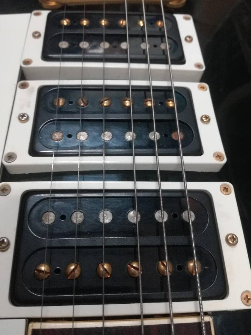 キ*ン様 GRECO EG600 CUSTOM 本体＋ソフトケース＋ギターチュー