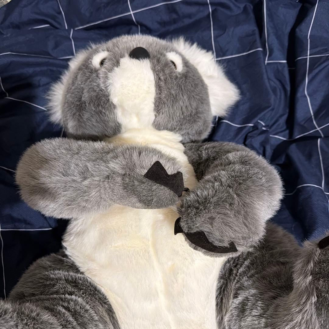 コアラ ぬいぐるみ