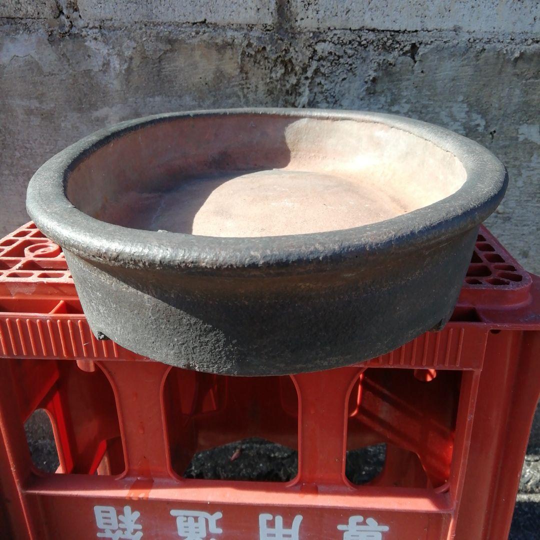 中国鉢、支那鉢、盆栽鉢、盆栽小鉢、鉢、植木鉢、山野草鉢、盆栽