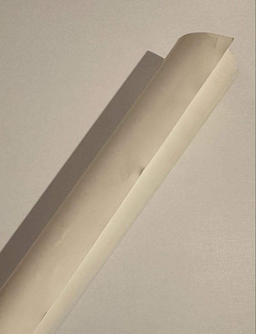 銀杏BOYZ 『君と僕の第三次世界大戦的恋愛革命』 ポスター 公式品 峯田和伸