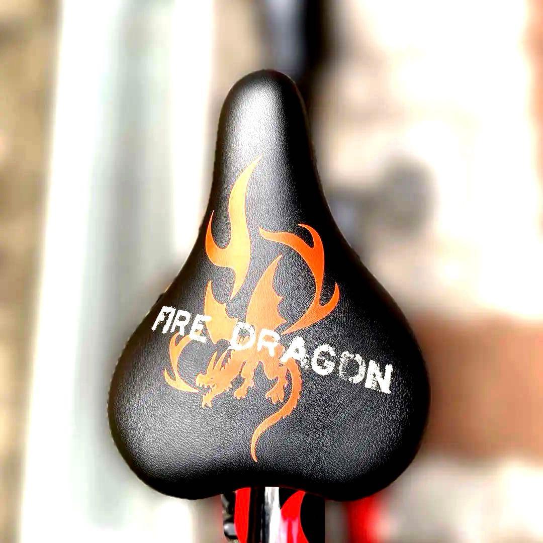 ［手渡し限定］自転車 ダイワサイクル ファイヤー ドラゴン キッズ