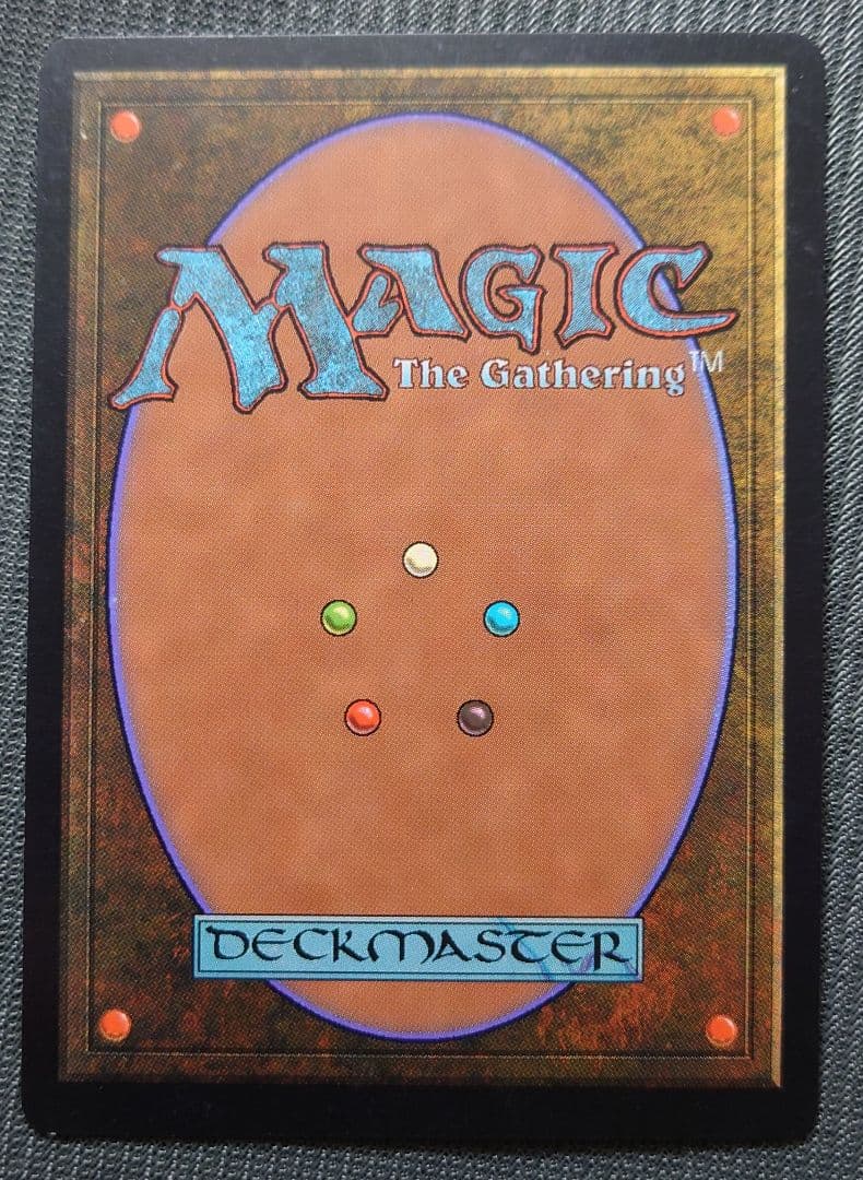 mtg 再録禁止 サインド 英語版 欲深きドラゴン usd