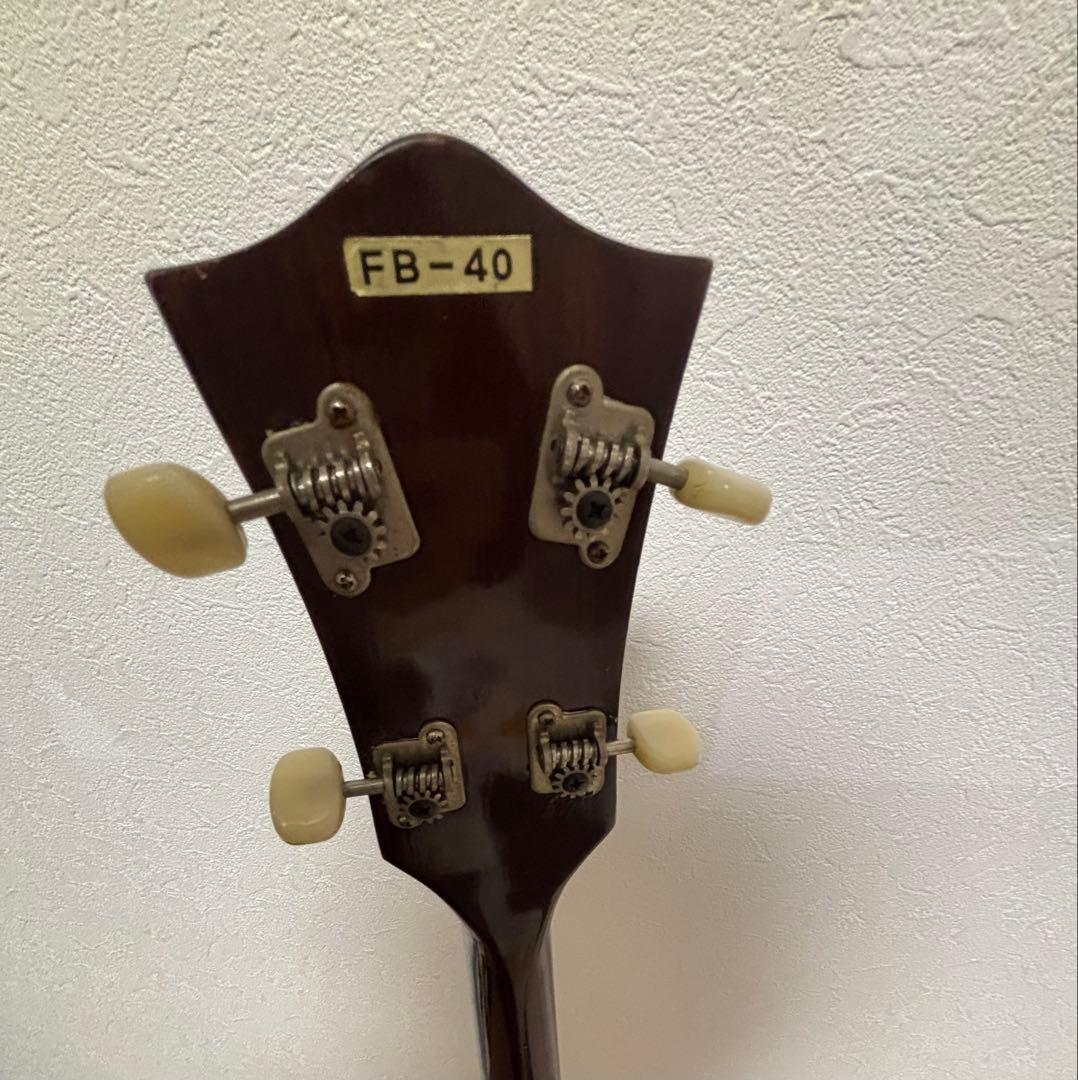 5弦バンジョー PIRLES FB-40