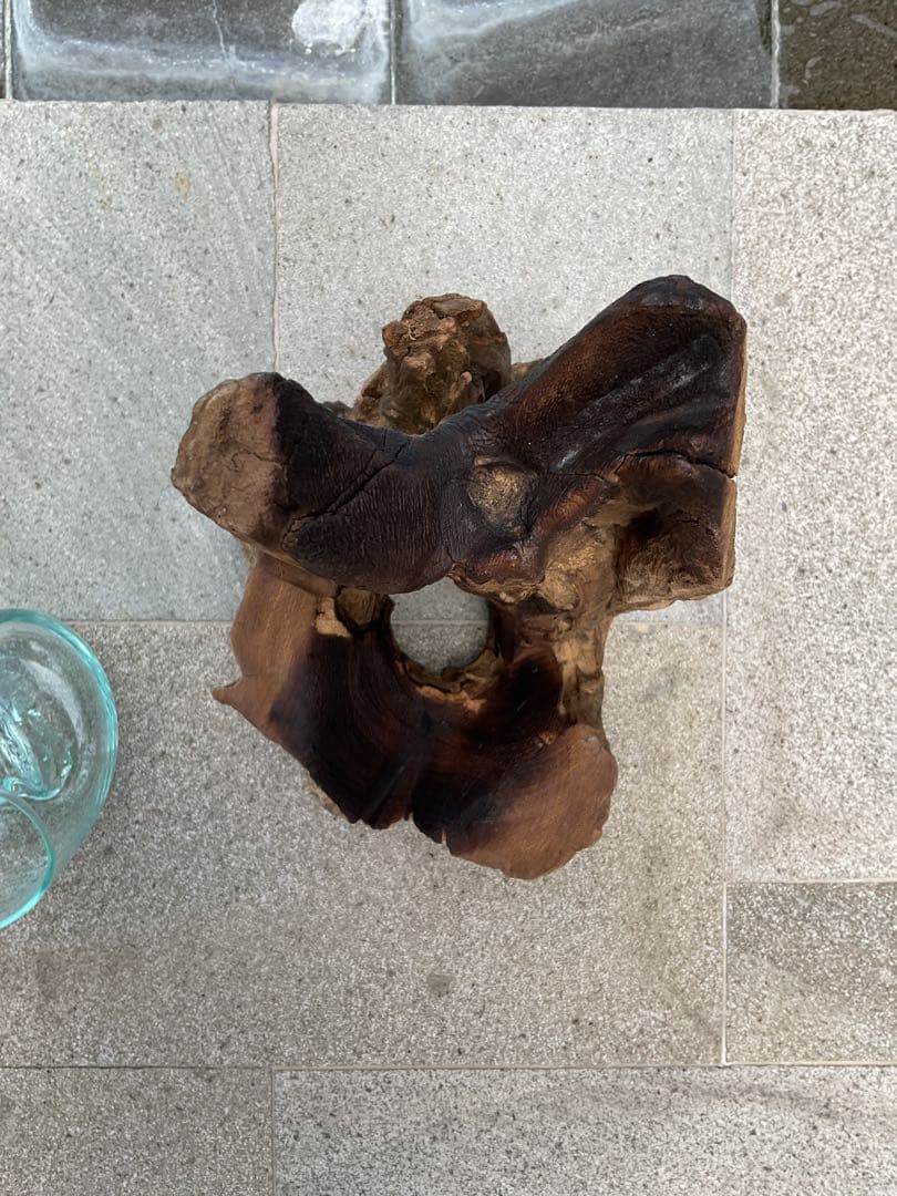 【新入荷】フィッシュボール(天然木ガラス水槽)Mサイズ2個口(穴空き)