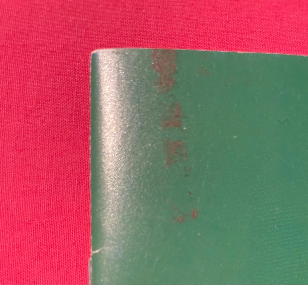 【鬼レアTHE TIMERS タイマーズ 忌野清志郎 RCサクセション 小冊子】