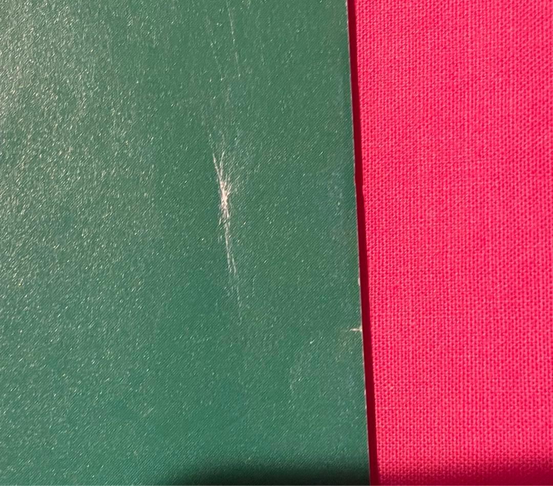 【鬼レアTHE TIMERS タイマーズ 忌野清志郎 RCサクセション 小冊子】