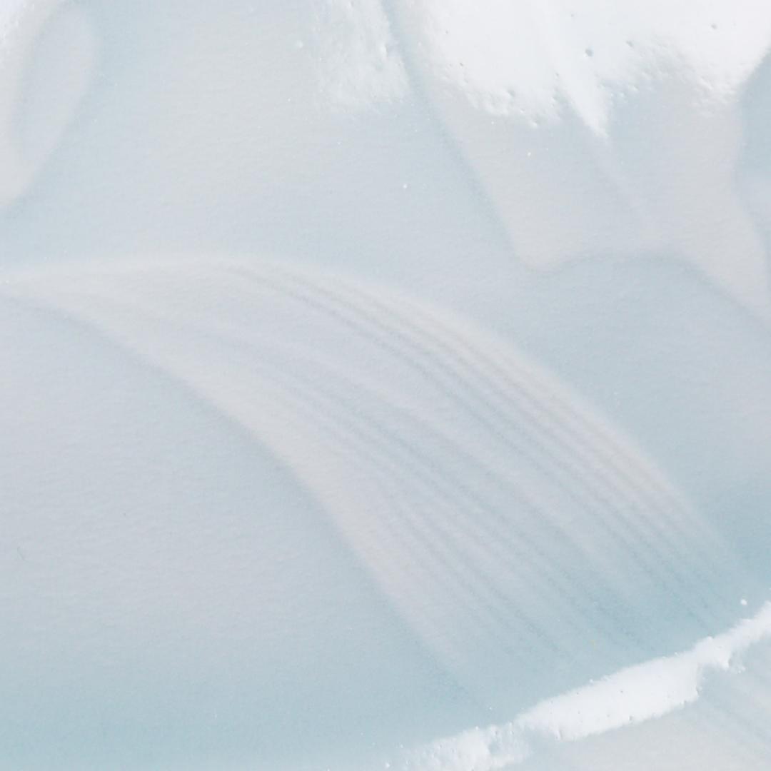 塚本快示 人間国宝 青白磁 百合文 皿 共布 共箱 未使用