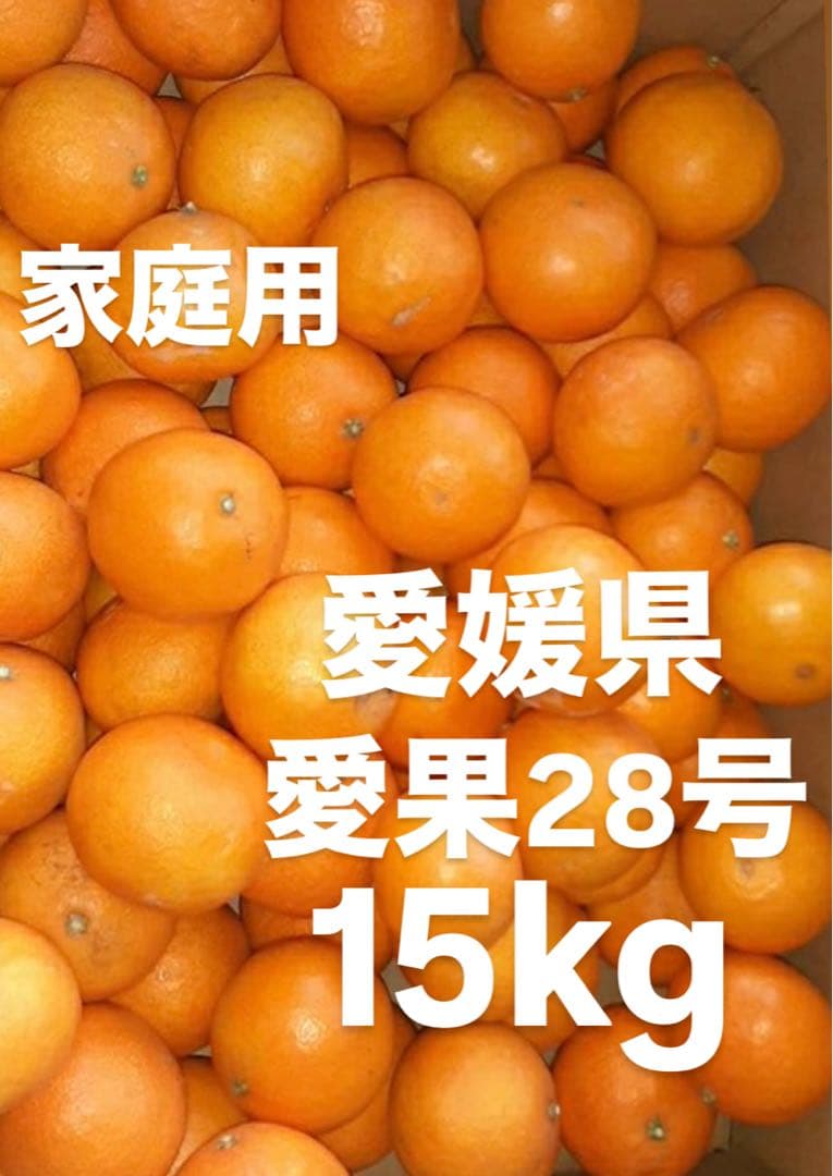 はちべ　愛媛県産　家庭用　愛果28号　柑橘　15kg