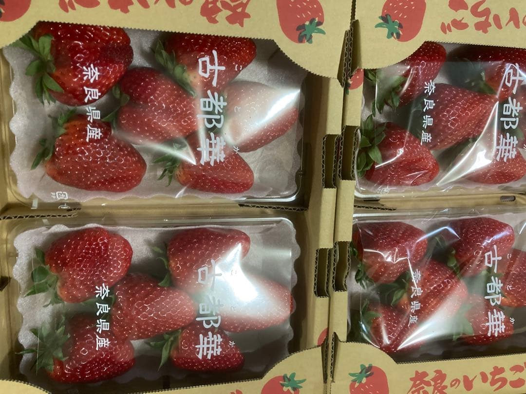 奈良特産　古都華いちご　10パック