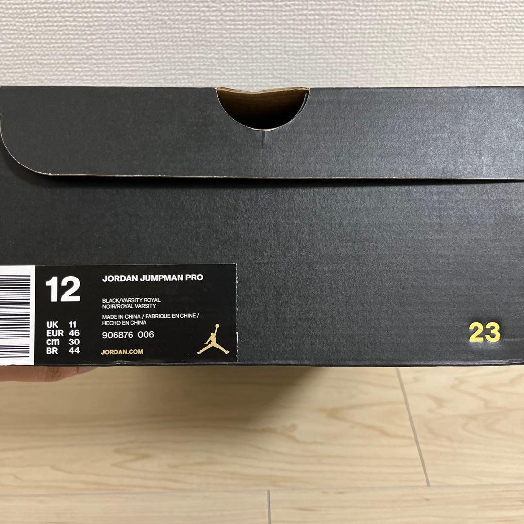 ※値下げしました※【状態◎】JORDAN JUMPMAN PRO 30cm