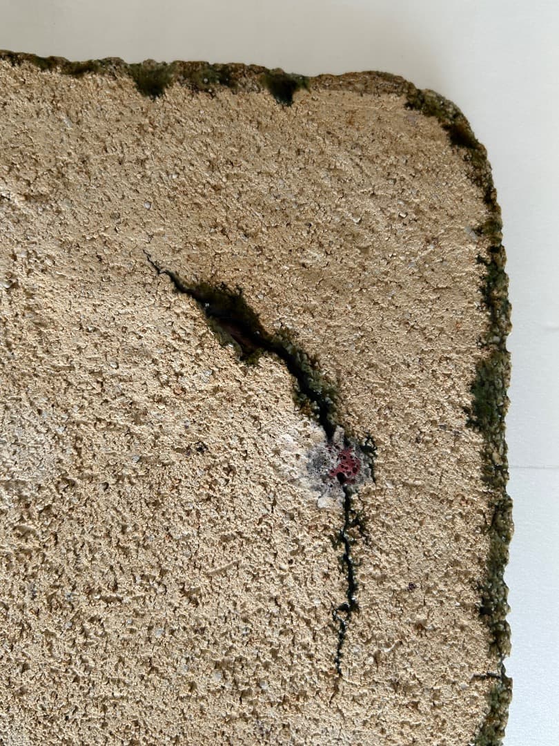 鳥文大皿　(加藤 釥 作)