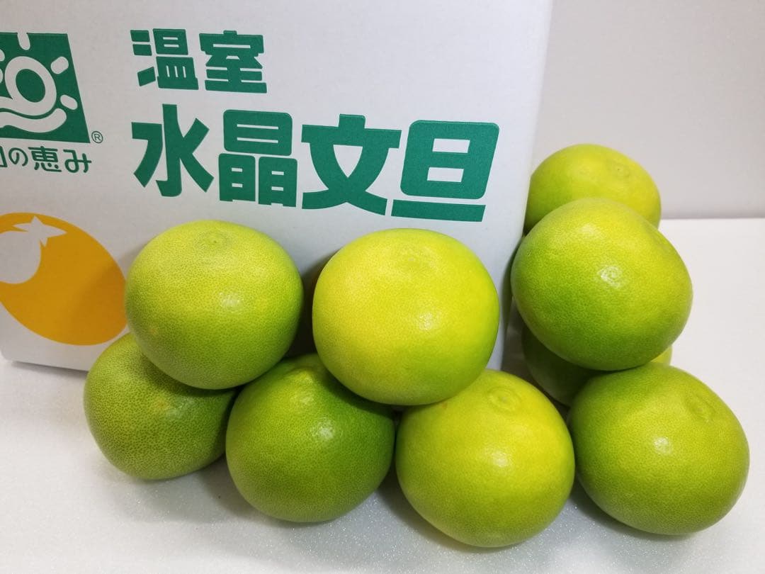 高知産　水晶文旦 約9キロ　ご家庭用
