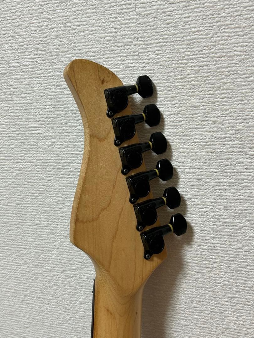 Fernandes FR-55？　フロイドローズタイプ