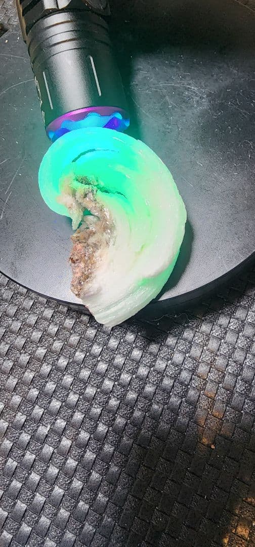 レア●蛍光羊の角セレナイト標本　２セット