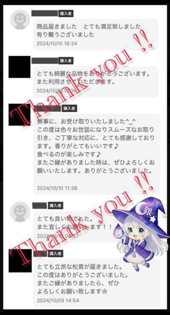 【今期最終‼︎ 希少品‼︎ 極上セット①】 本日採れ‼︎ 松茸◆クール便発送◆