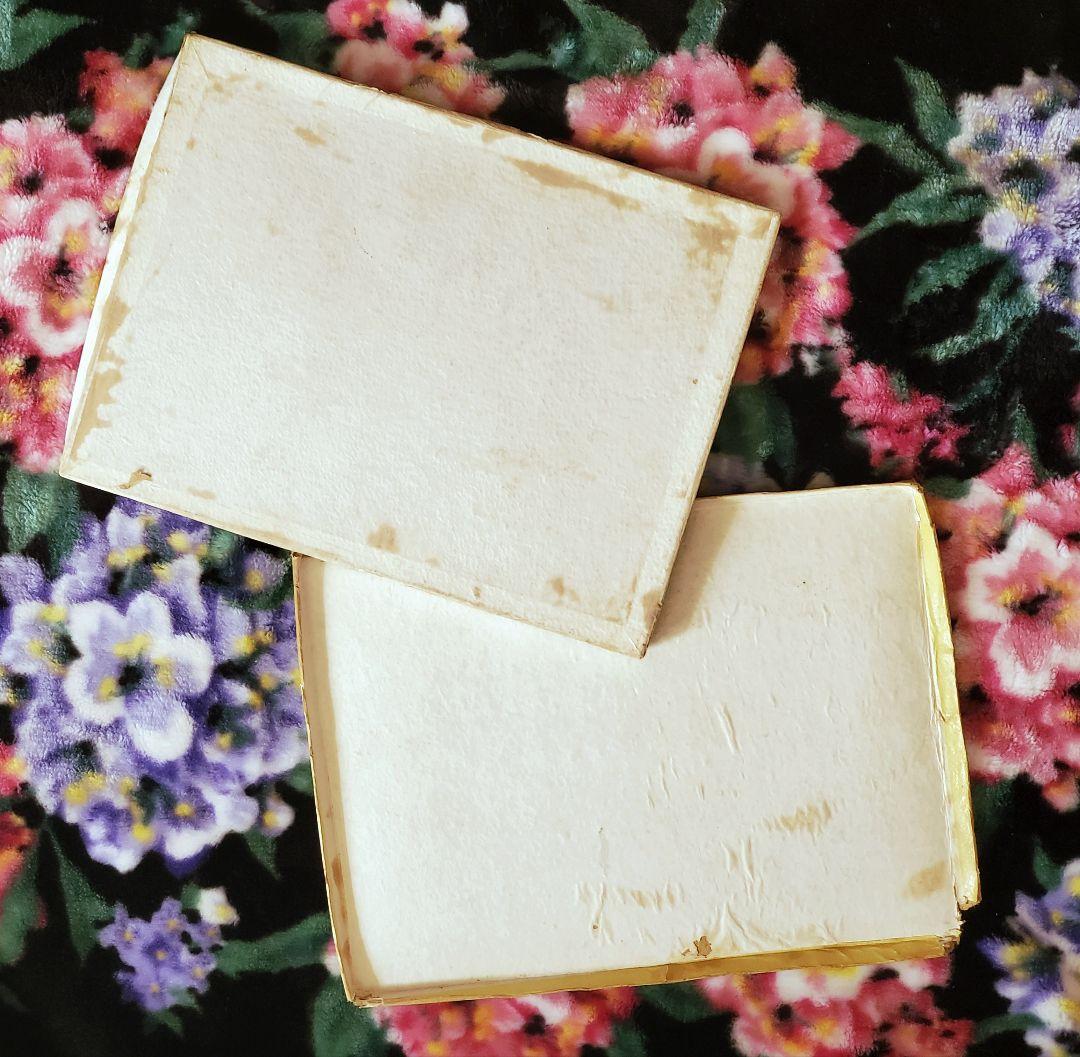 【1960年代当時物】☆蝶類標本☆『台湾産蝴蝶2/2』☆本物の蝶を100頭収録☆